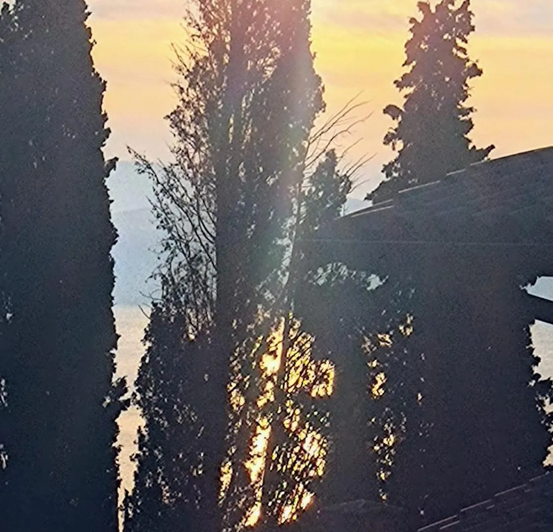 La Verbena A Fianco Del Vittoriale, Vista Piscina, 10 Minuti A Piedi Dal Lungo Lago Gardone Riviera Italy